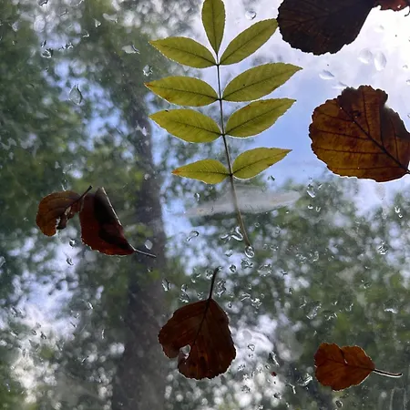 Luksustelt Bublina *